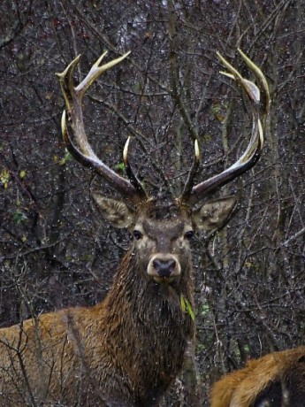 598551_10151281839995874_991090486_n